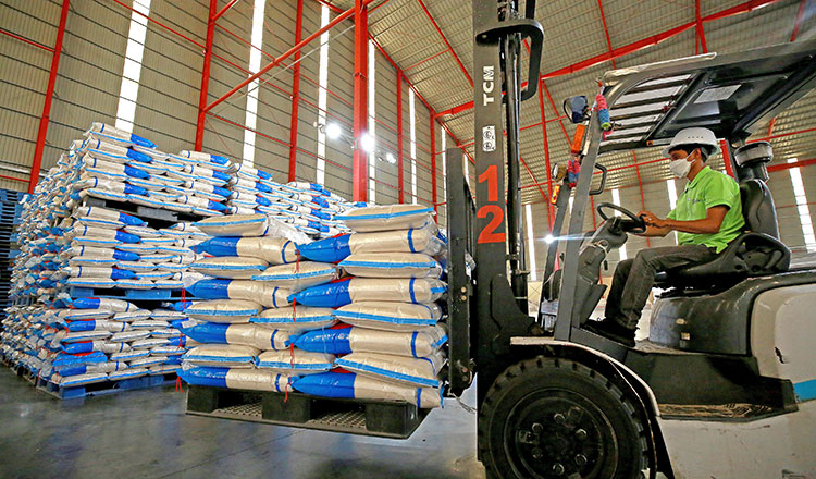 Rice exports surge as Cambodia nears ambitious 1 million tonne target